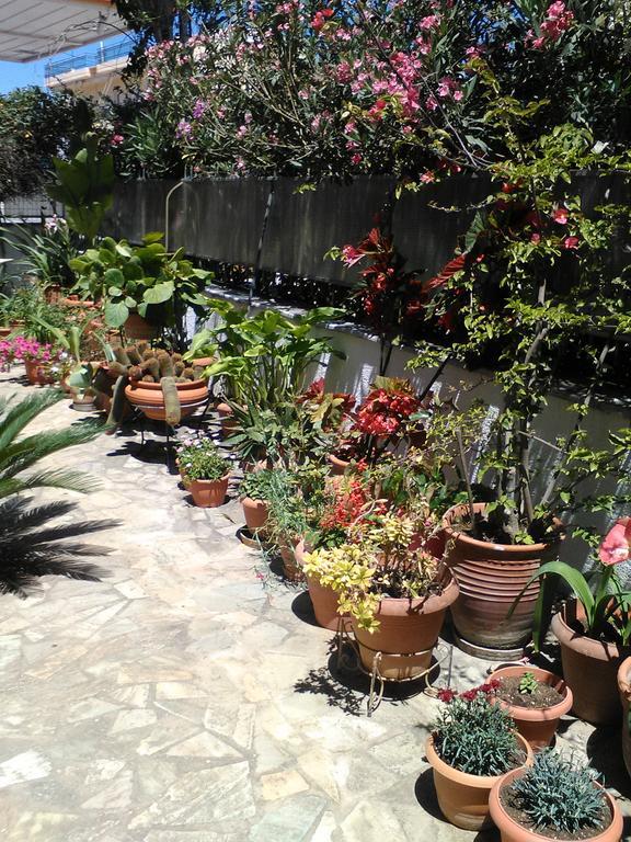 אמרינתוס Aparthotel Iliahtides מראה חיצוני תמונה