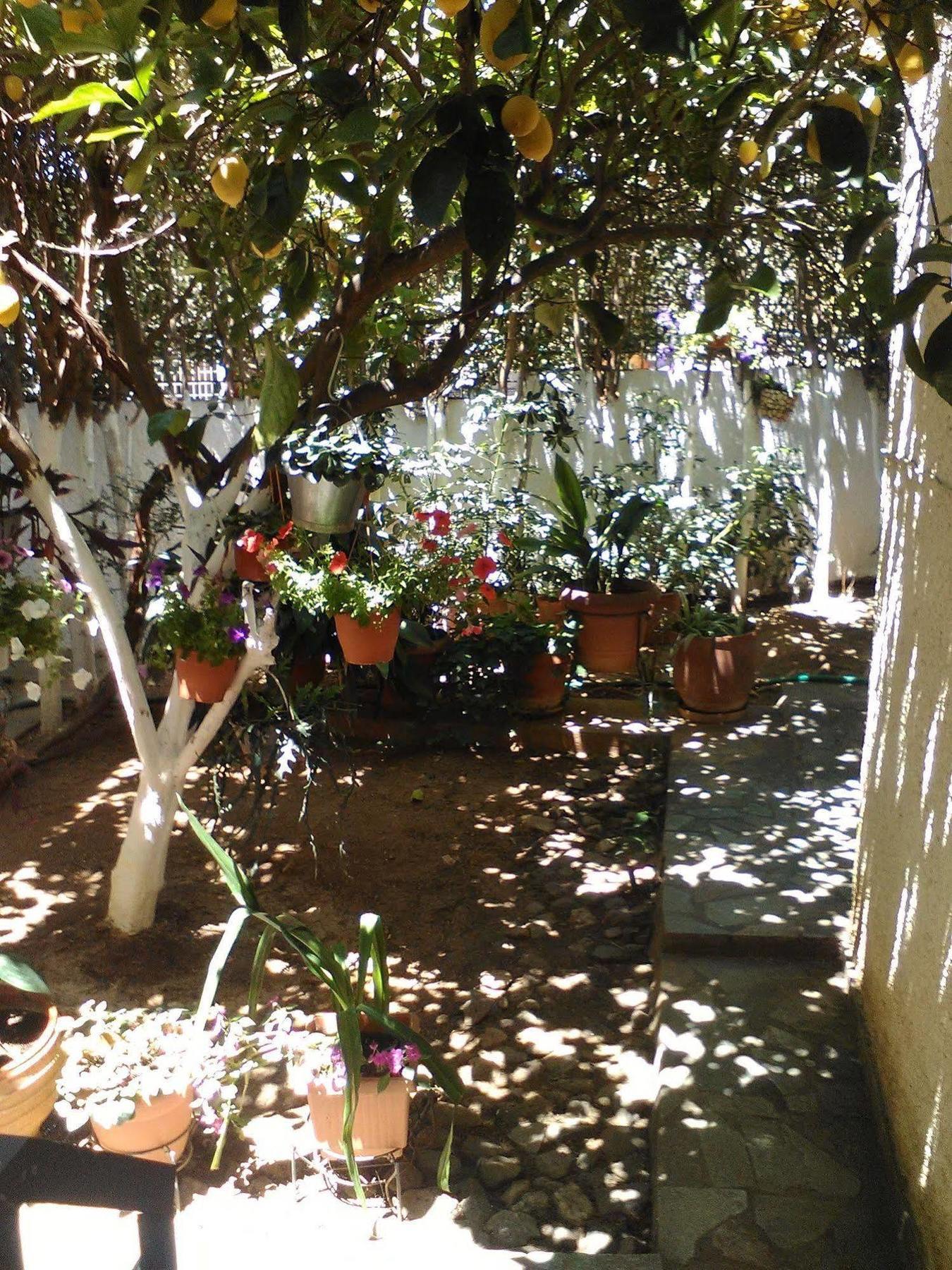אמרינתוס Aparthotel Iliahtides מראה חיצוני תמונה